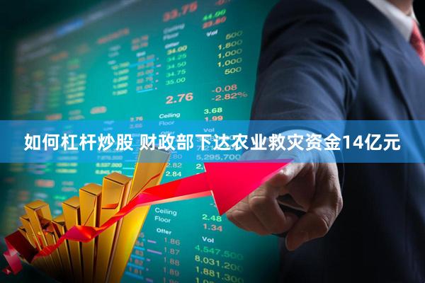 如何杠杆炒股 财政部下达农业救灾资金14亿元