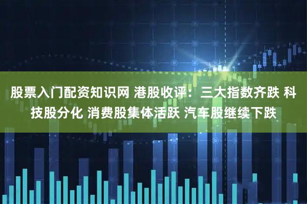 股票入门配资知识网 港股收评：三大指数齐跌 科技股分化 消费股集体活跃 汽车股继续下跌