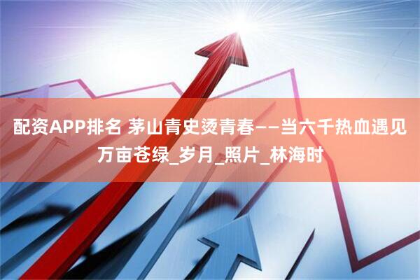 配资APP排名 茅山青史烫青春——当六千热血遇见万亩苍绿_岁月_照片_林海时